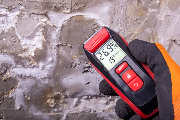 Best Mold Testing  in Elk Grove Vlage, IL