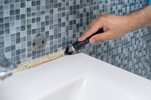 Best Mold Cleaning Services  in Elk Grove Vlage, IL